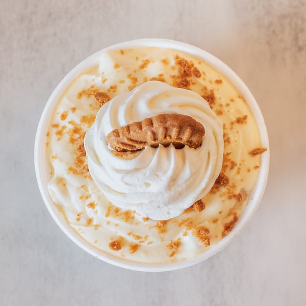 Overhead view of banana pudding with whipped cream and a cookie in a white cup.
